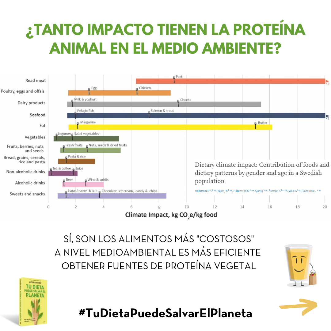 ¿Tanto impacto tienen la proteína animal en el medio ambiente"