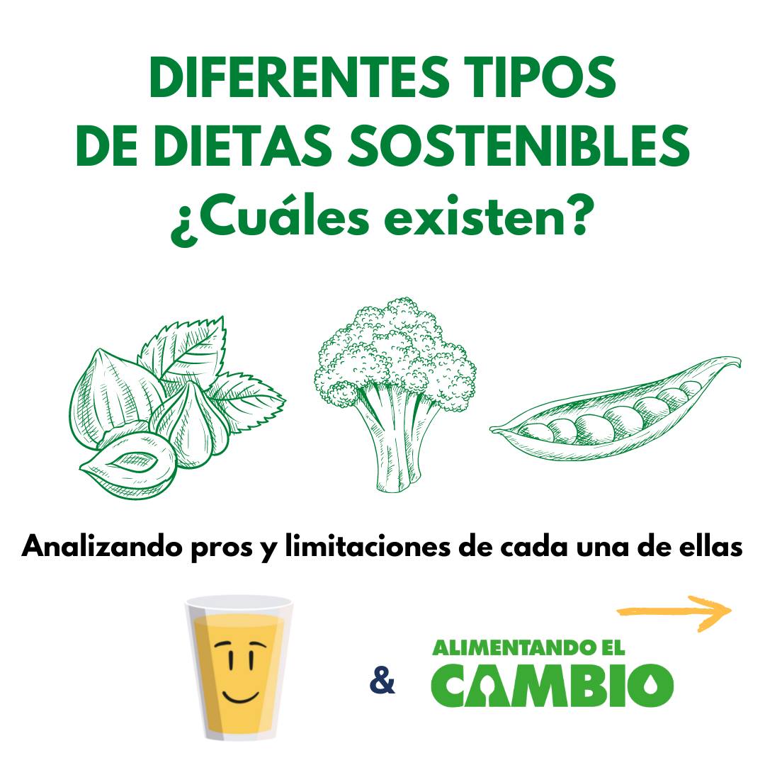 DIFERENTES TIPOS DE DIETAS SOSTENIBLES