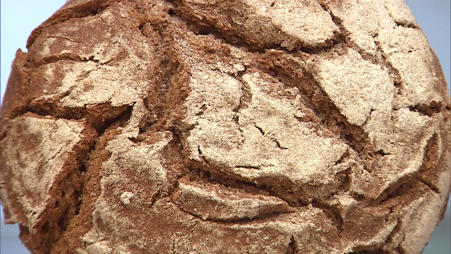 El pan más saludable_1