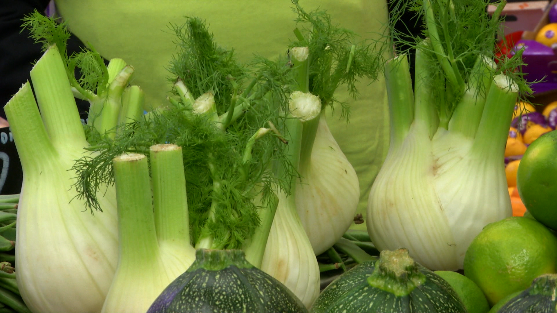 Los bulbos, el secreto mejor guardado de la huerta