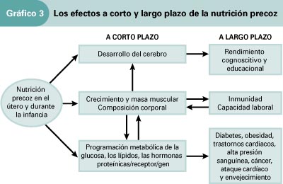 Efectos de la nutrición precoz
