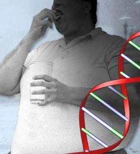 Genes y obesidad Genes y obesidad