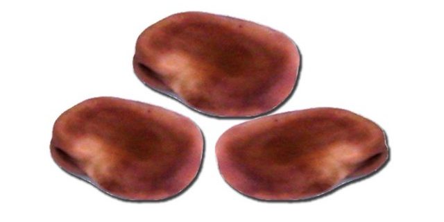 Haba roscón Haba roscón