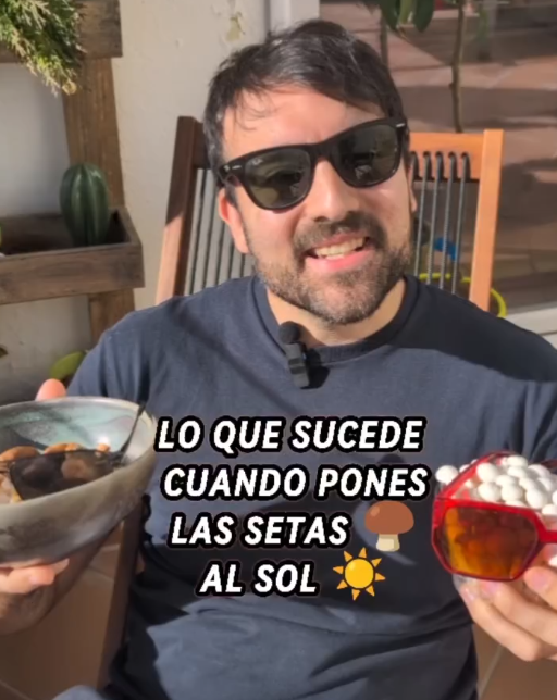 lo que sucede cuando pones las setas al sol