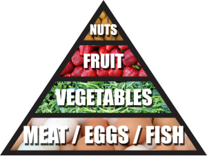 Pirámide paleo