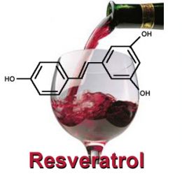 Resveratrol y vino