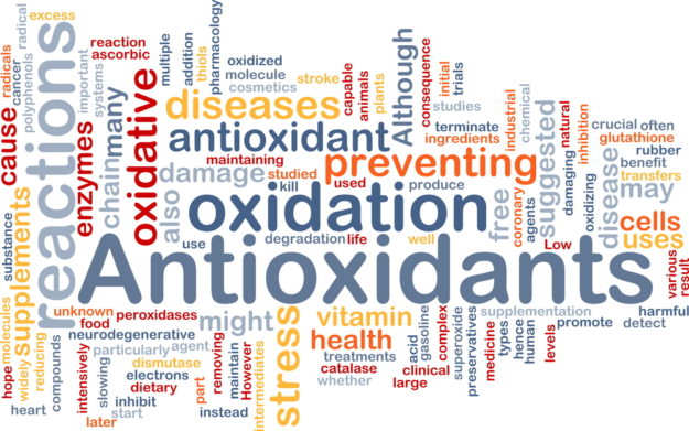 Antioxidant Antioxidant